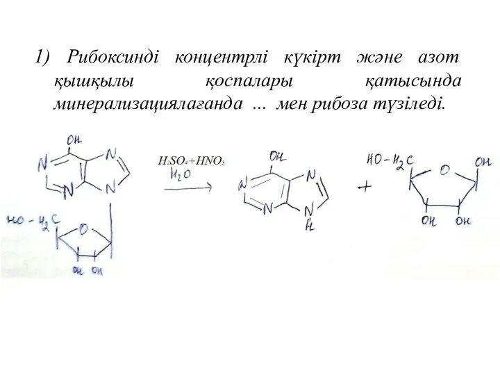 1) Рибоксинді концентрлі күкірт және азот қышқылы қоспалары қатысында минерализациялағанда ... мен рибоза түзіледі.