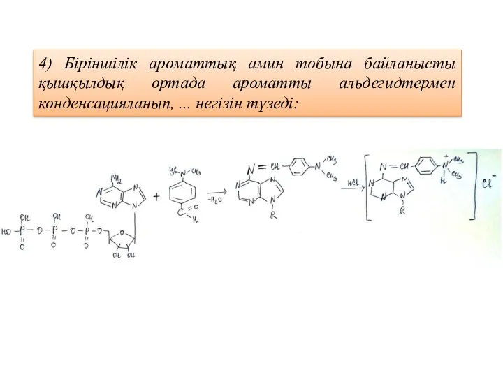 4) Біріншілік ароматтық амин тобына байланысты қышқылдық ортада ароматты альдегидтермен конденсацияланып, ... негізін түзеді: