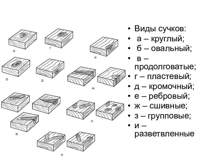 Виды сучков: а – круглый; б – овальный; в –