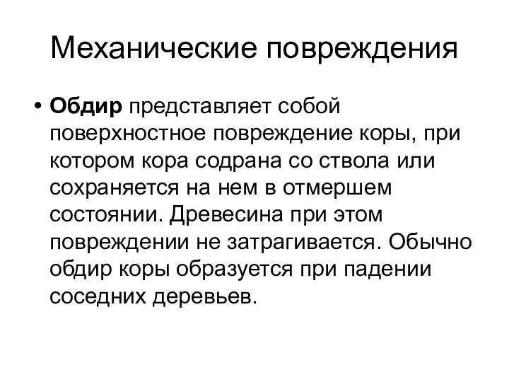 Механические повреждения Обдир представляет собой поверхностное повреждение коры, при котором