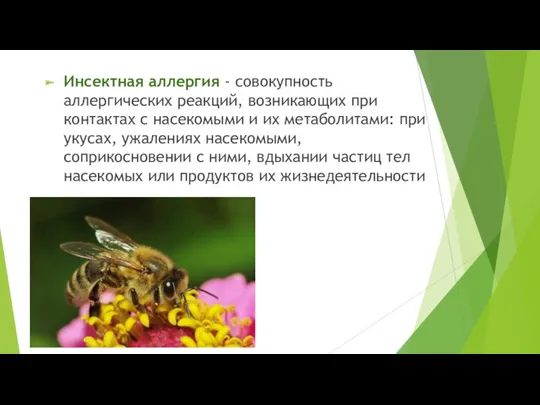 Инсектная аллергия - совокупность аллергических реакций, возникающих при контактах с