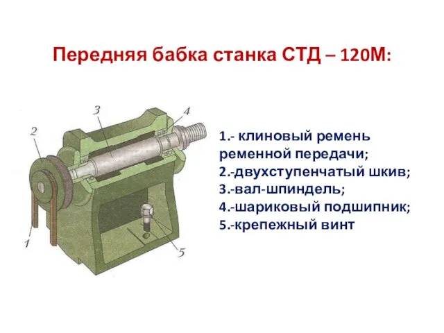 Передняя бабка станка СТД – 120М: 1.- клиновый ремень ременной