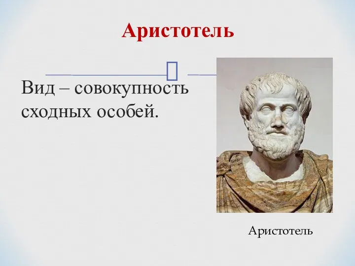 Вид – совокупность сходных особей. Аристотель Аристотель