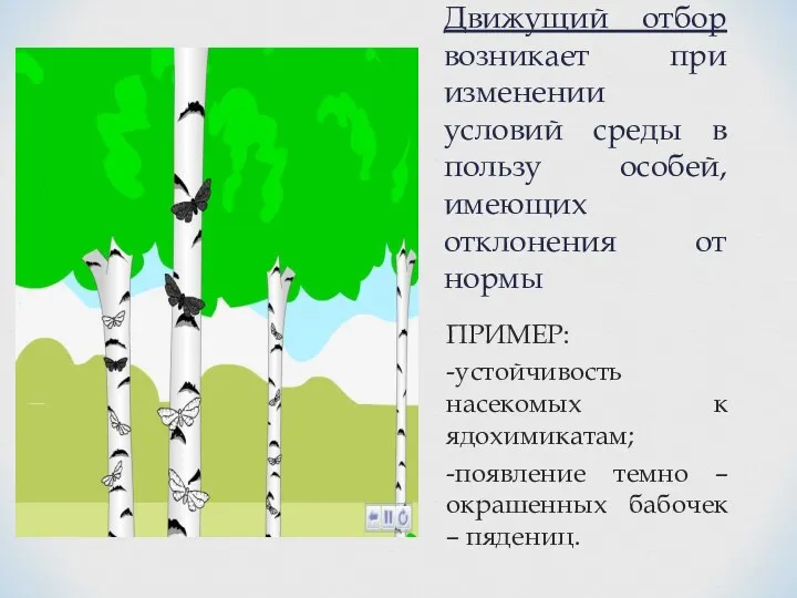 Движущий отбор возникает при изменении условий среды в пользу особей,