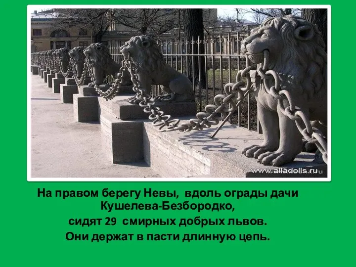 На правом берегу Невы, вдоль ограды дачи Кушелева-Безбородко, сидят 29 смирных добрых львов.
