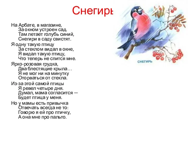 Снегирь На Арбате, в магазине, За окном устроен сад. Там