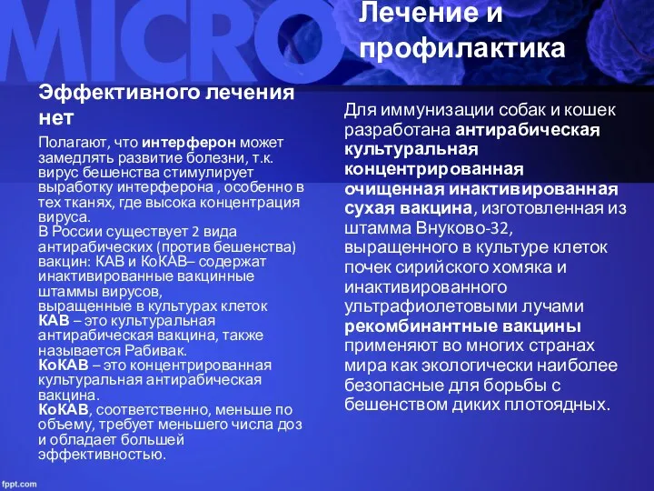 Лечение и профилактика Эффективного лечения нет Полагают, что интерферон может