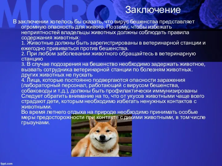 Заключение В заключении хотелось бы сказать, что вирус бешенства представляет