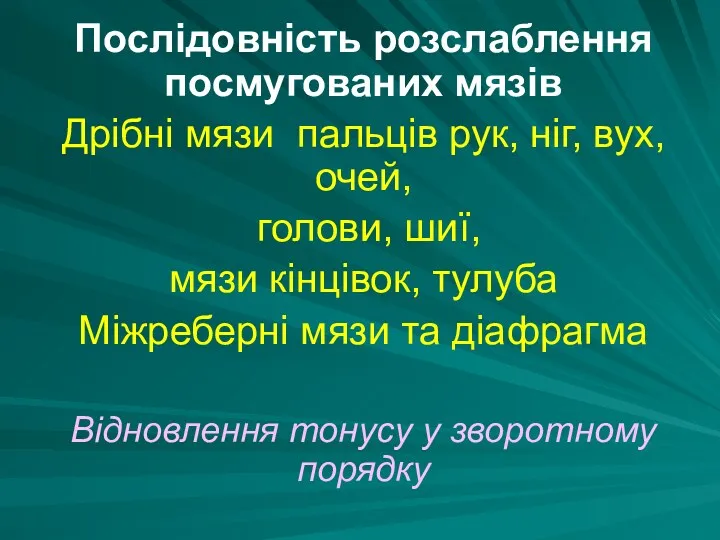 Послідовність розслаблення посмугованих мязів Дрібні мязи пальців рук, ніг, вух,очей,