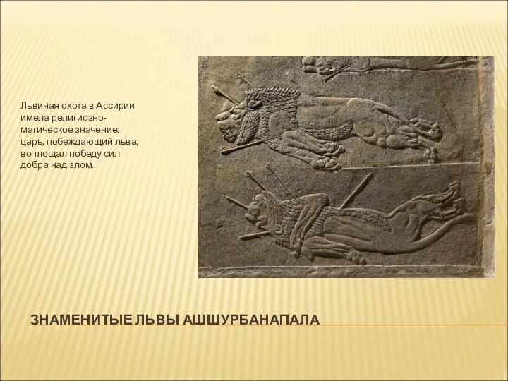 ЗНАМЕНИТЫЕ ЛЬВЫ АШШУРБАНАПАЛА Львиная охота в Ассирии имела религиозно-магическое значение: