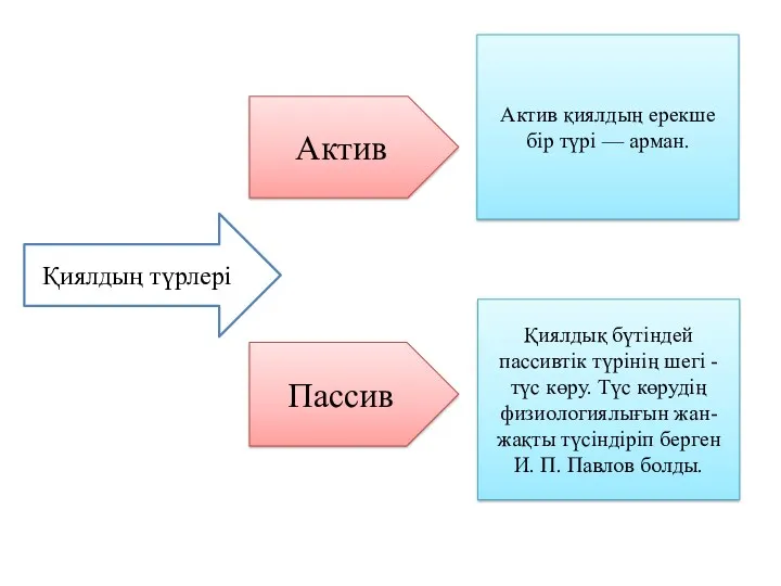 Қиялдың түрлері Актив Пассив Актив қиялдың ерекше бір түрі —