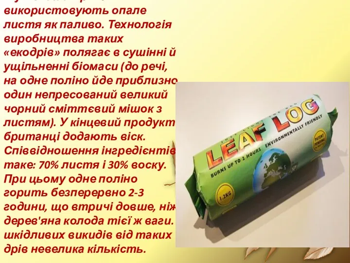 А у Великій Брітанії використовують опале листя як паливо. Технологія