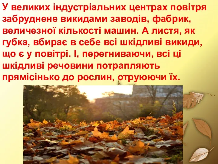 У великих індустріальних центрах повітря забруднене викидами заводів, фабрик, величезної