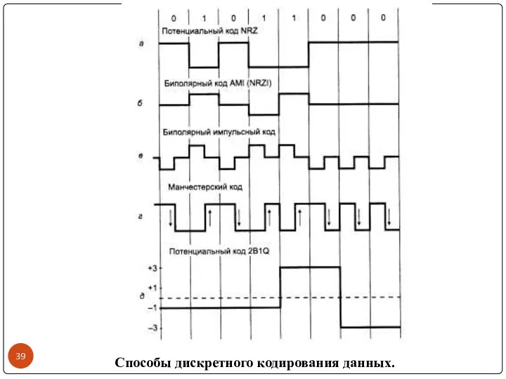 Способы дискретного кодирования данных.