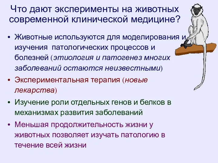 Животные используются для моделирования и изучения патологических процессов и болезней (этиология и патогенез