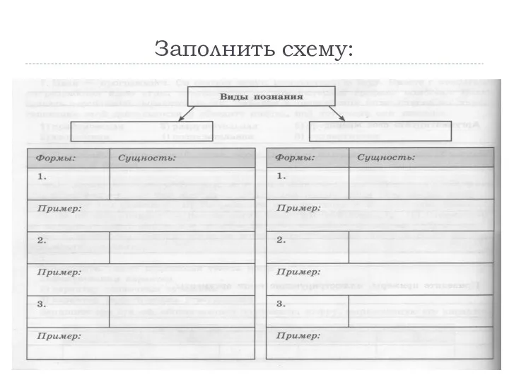 Заполнить схему: