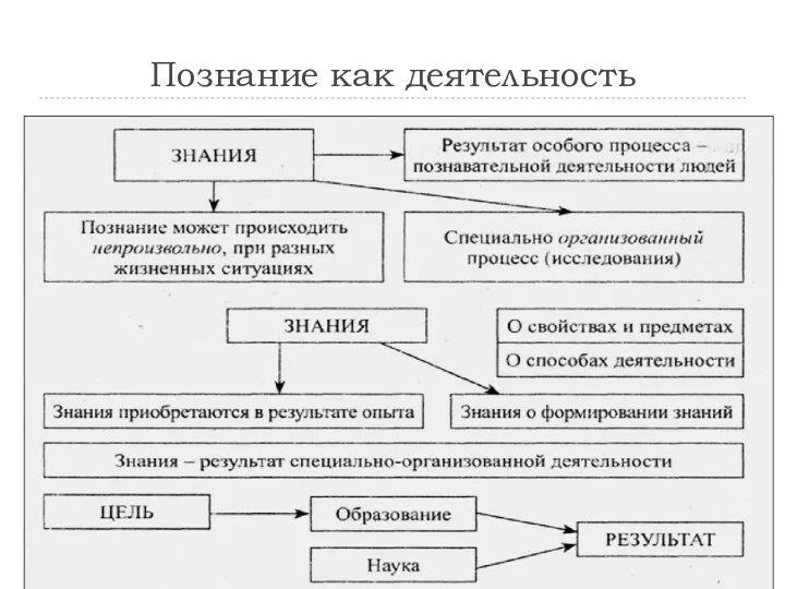 Познание как деятельность