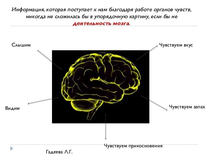 Информация, которая поступает к нам благодаря работе органов чувств, никогда