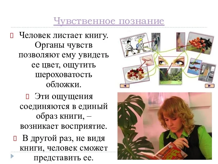 Чувственное познание Человек листает книгу. Органы чувств позволяют ему увидеть