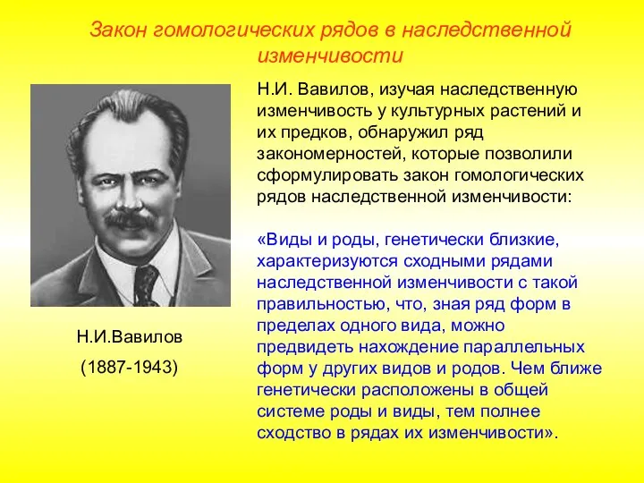 Закон гомологических рядов в наследственной изменчивости Н.И. Вавилов, изучая наследственную