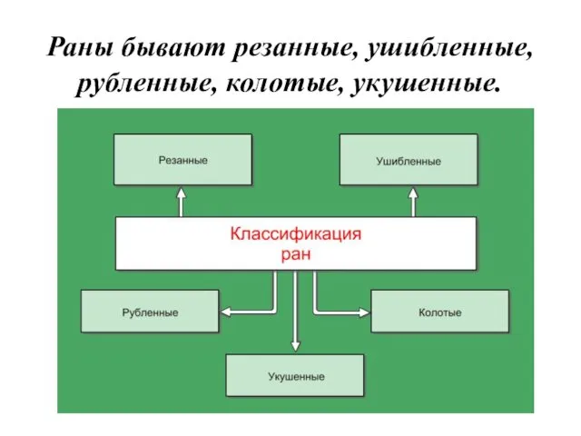 Раны бывают резанные, ушибленные, рубленные, колотые, укушенные.