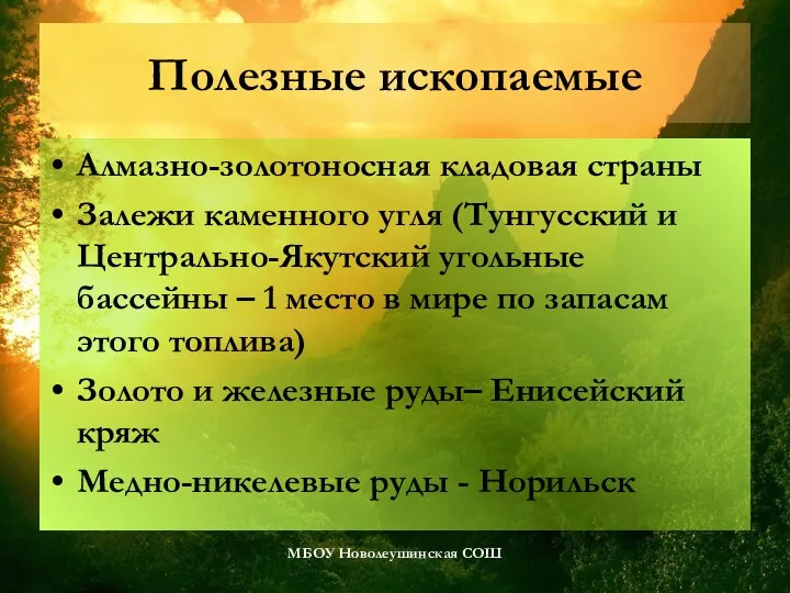 Полезные ископаемые Алмазно-золотоносная кладовая страны Залежи каменного угля (Тунгусский и