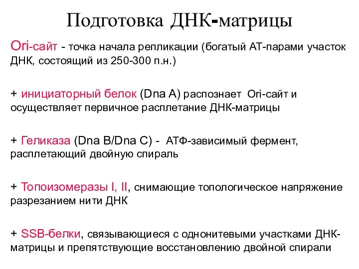 Подготовка ДНК-матрицы Ori-сайт - точка начала репликации (богатый АТ-парами участок