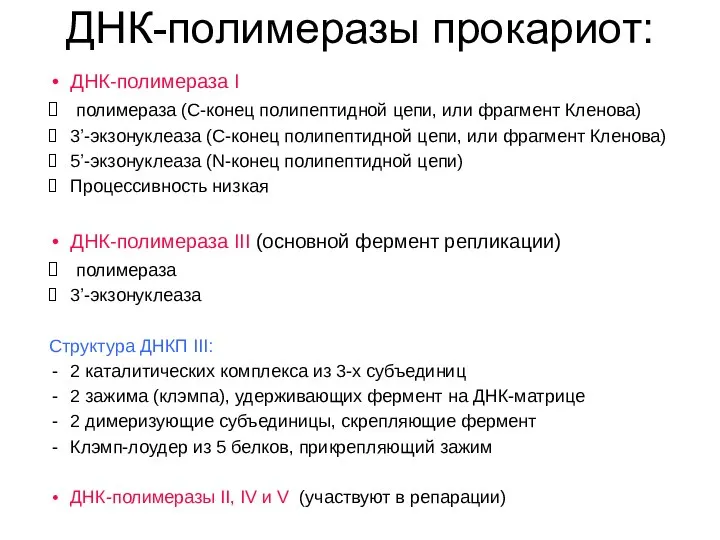 ДНК-полимеразы прокариот: ДНК-полимераза I полимераза (С-конец полипептидной цепи, или фрагмент