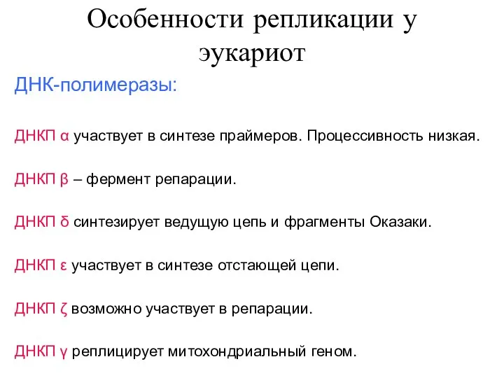 Особенности репликации у эукариот ДНК-полимеразы: ДНКП α участвует в синтезе