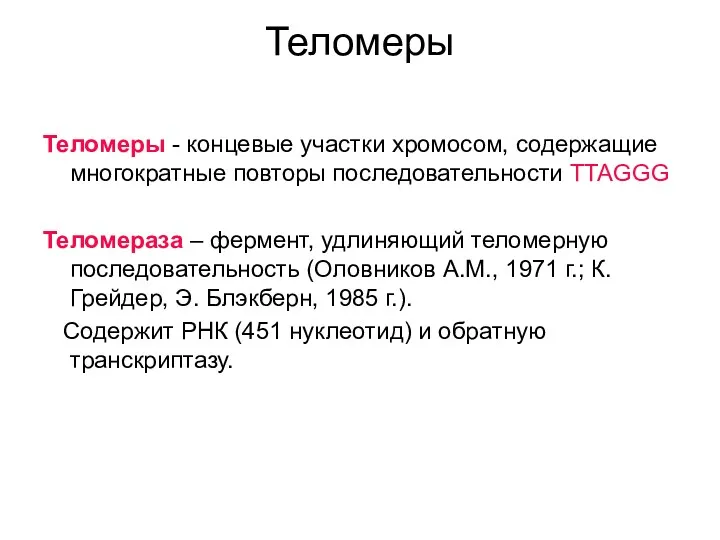 Теломеры Теломеры - концевые участки хромосом, содержащие многократные повторы последовательности