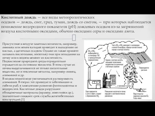 Кислотный дождь — все виды метеорологических осадков — дождь, снег,