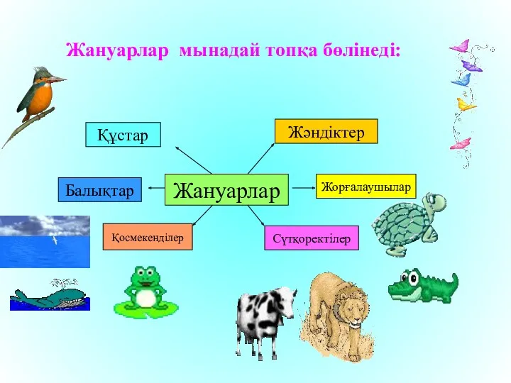 Жануарлар мынадай топқа бөлінеді: