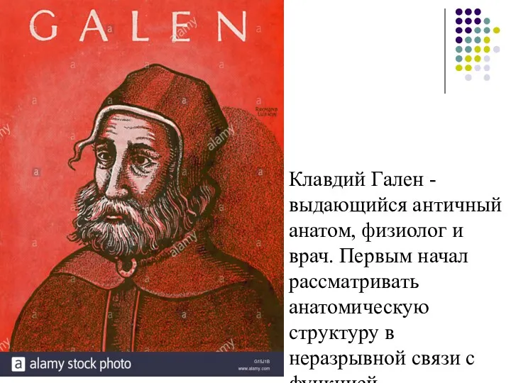 Клавдий Гален -выдающийся античный анатом, физиолог и врач. Первым начал