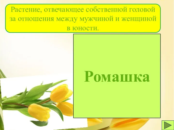 Ромашка Растение, отвечающее собственной головой за отношения между мужчиной и женщиной в юности.