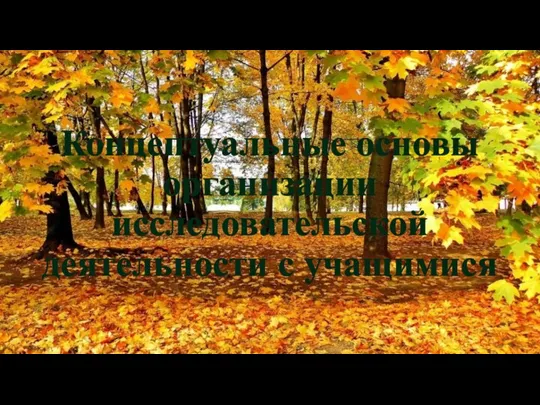 Концептуальные основы организации исследовательской деятельности с учащимися