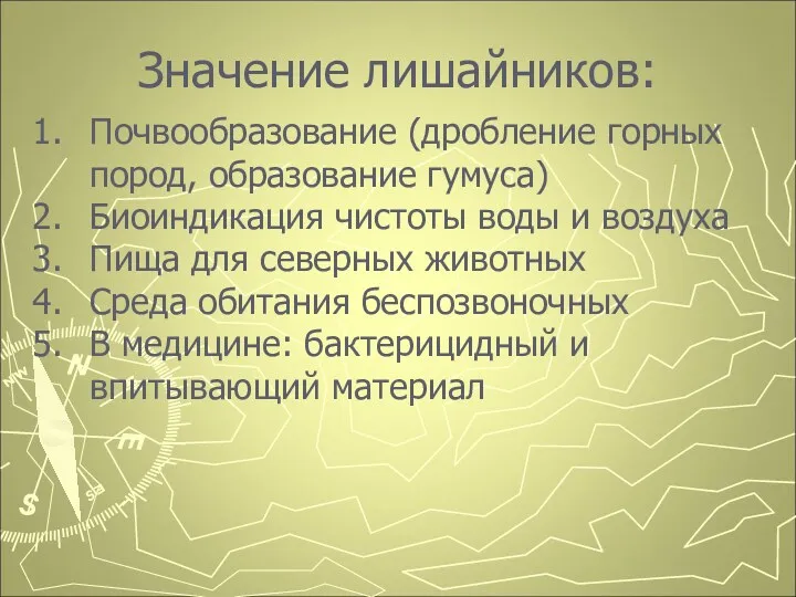 Значение лишайников: Почвообразование (дробление горных пород, образование гумуса) Биоиндикация чистоты