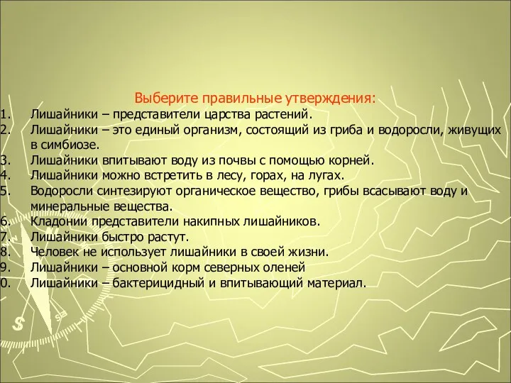 Подведем итоги. Выберите правильные утверждения: Лишайники – представители царства растений. Лишайники – это