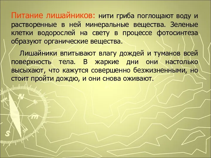 Питание лишайников: нити гриба поглощают воду и растворенные в ней минеральные вещества. Зеленые