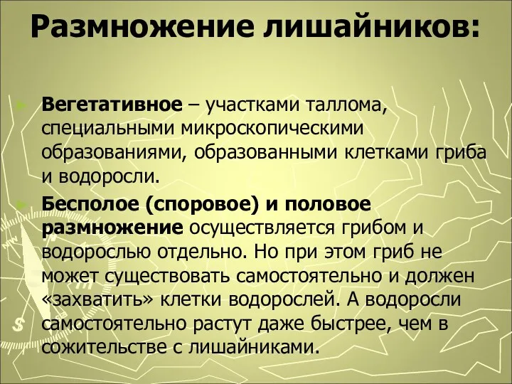 Размножение лишайников: Вегетативное – участками таллома, специальными микроскопическими образованиями, образованными клетками гриба и