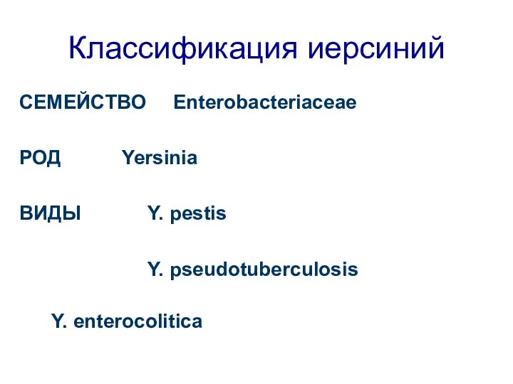 Классификация иерсиний CЕМЕЙСТВО Enterobacteriaceae РОД Yersinia ВИДЫ Y. pestis Y. pseudotuberculosis Y. enterocolitica