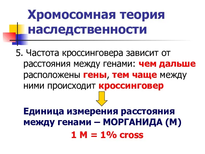 Хромосомная теория наследственности 5. Частота кроссинговера зависит от расстояния между