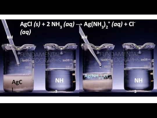 AgCl (s) + 2 NH3 (aq) → Ag(NH3)2+ (aq) +