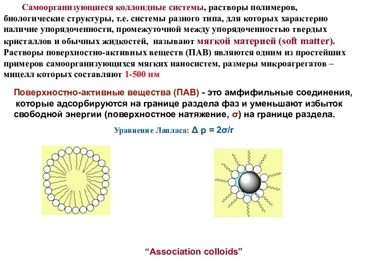 Самоорганизующиеся коллоидные системы, растворы полимеров, биологические структуры, т.е. системы разного