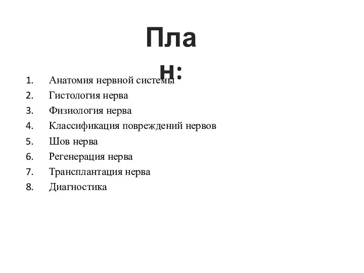 Анатомия нервной системы Гистология нерва Физиология нерва Классификация повреждений нервов Шов нерва Регенерация