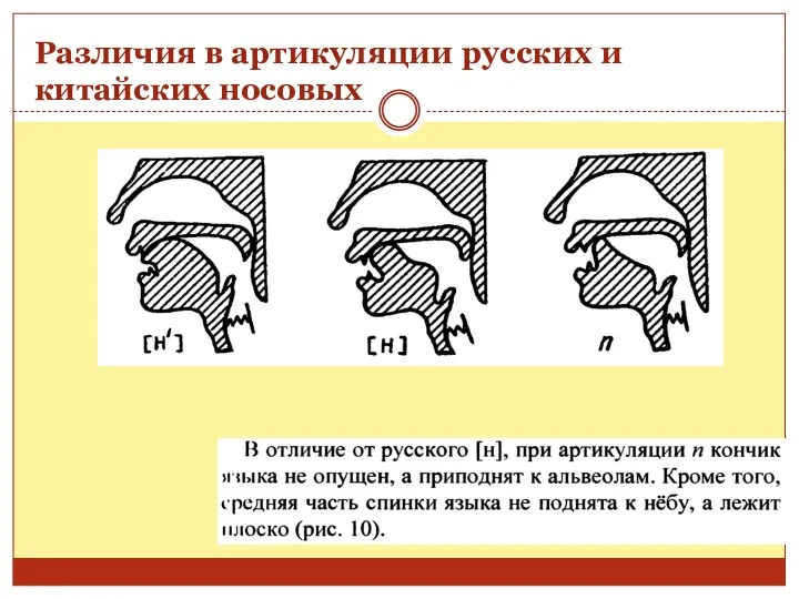 Различия в артикуляции русских и китайских носовых