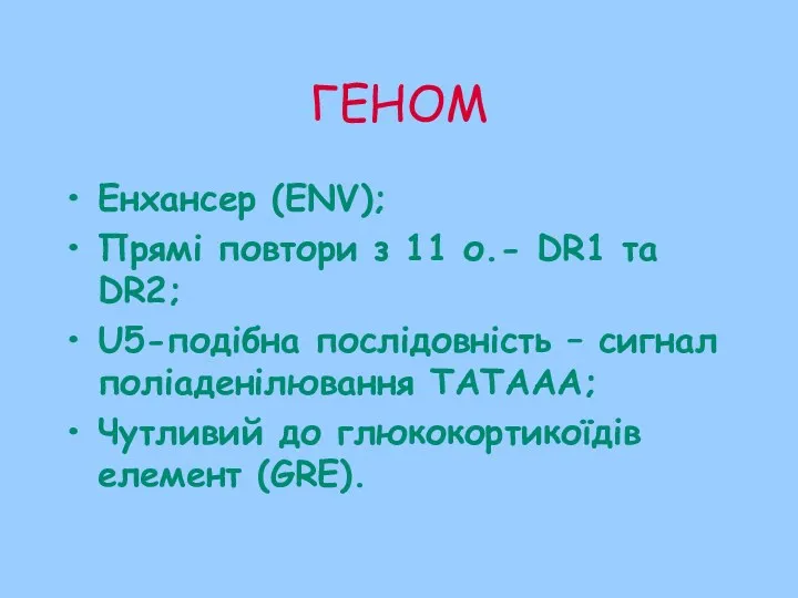 ГЕНОМ Енхансер (ENV); Прямі повтори з 11 о.- DR1 та