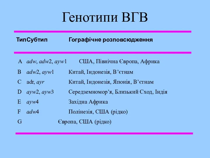 Генотипи ВГВ A adw, adw2, ayw1 США, Північна Європа, Африка