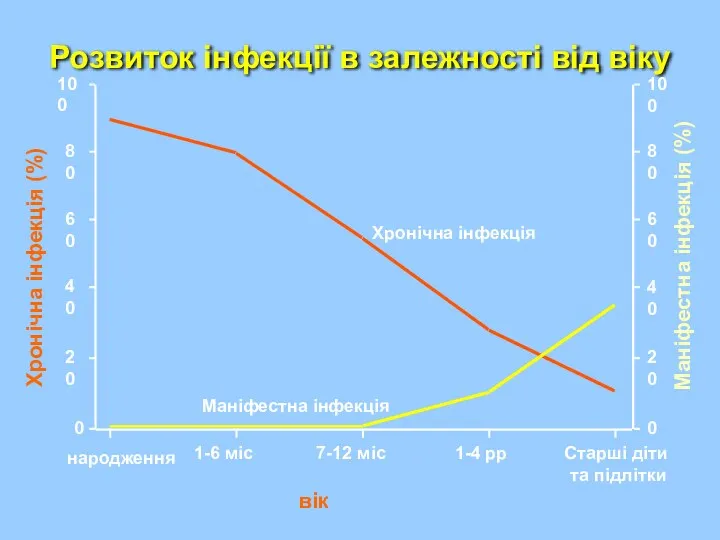 Розвиток інфекції в залежності від віку Маніфестна інфекція Хронічна інфекція