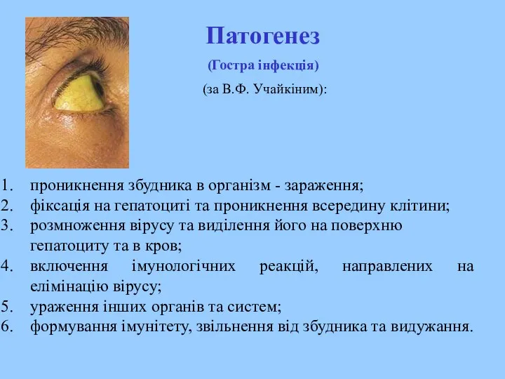 проникнення збудника в організм - зараження; фіксація на гепатоциті та