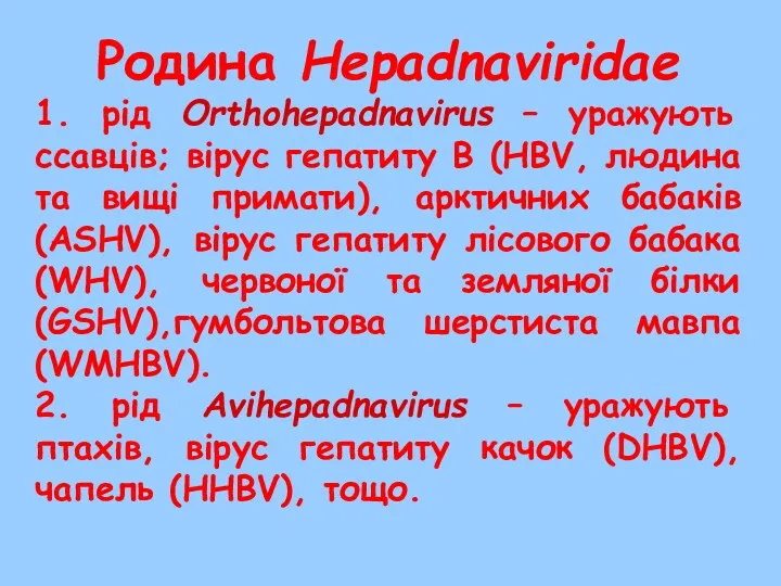 Родина Hepadnaviridae 1. рід Orthohepadnavirus – уражують ссавців; вірус гепатиту